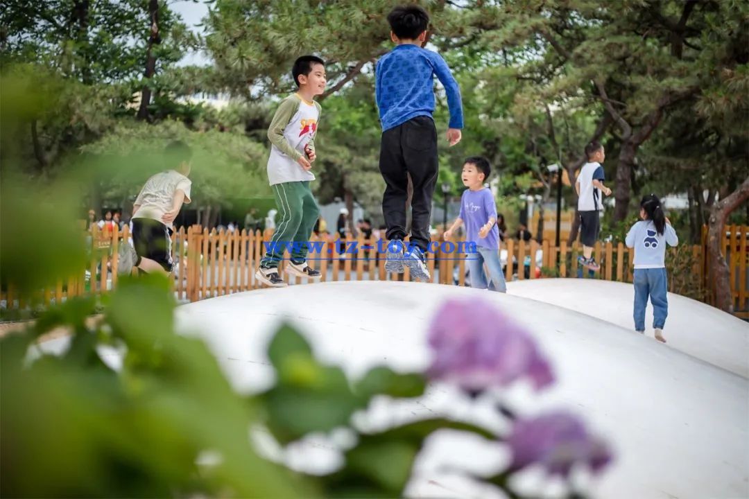 江西童真游樂(lè )設備 (5).jpg