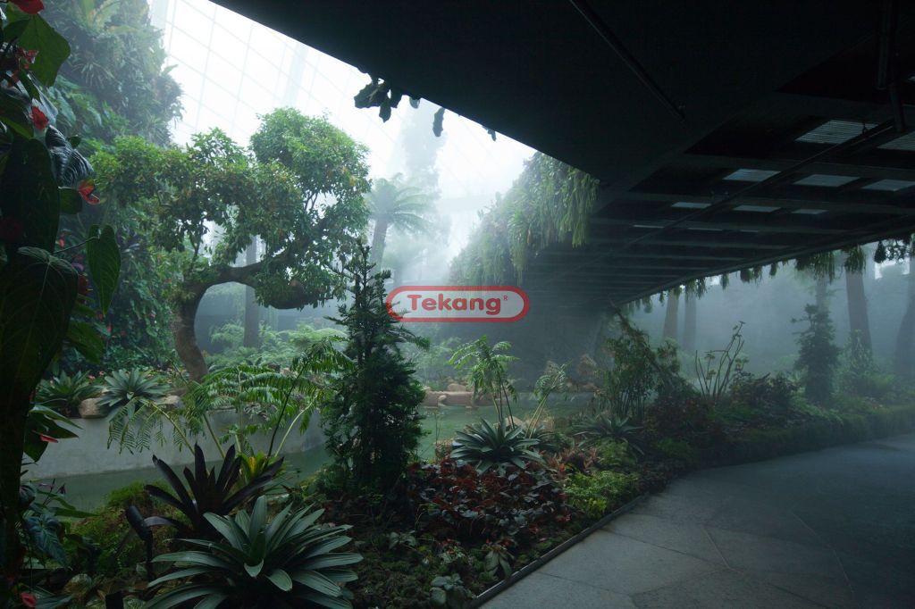 Gardens by the Bay – Conservatories